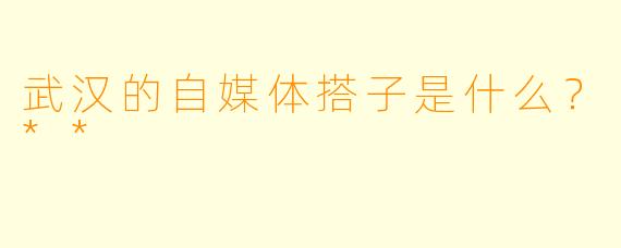 武汉的自媒体搭子是什么？**