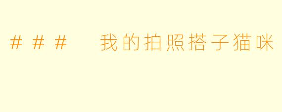 ### 我的拍照搭子猫咪