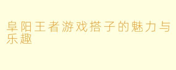 阜阳王者游戏搭子的魅力与乐趣