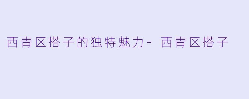 西青区搭子的独特魅力-西青区搭子