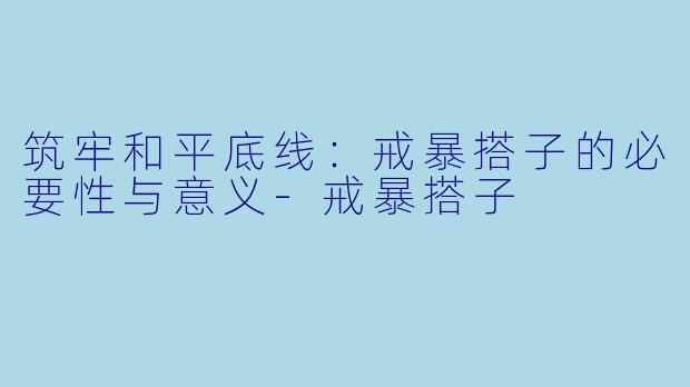 筑牢和平底线：戒暴搭子的必要性与意义-戒暴搭子