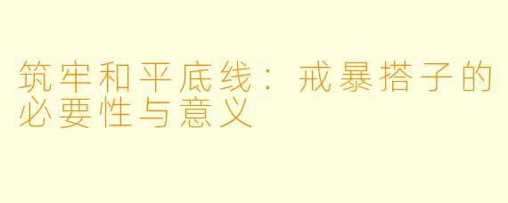 筑牢和平底线：戒暴搭子的必要性与意义