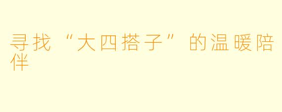 寻找“大四搭子”的温暖陪伴