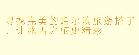 寻找完美的哈尔滨旅游搭子，让冰雪之旅更精彩