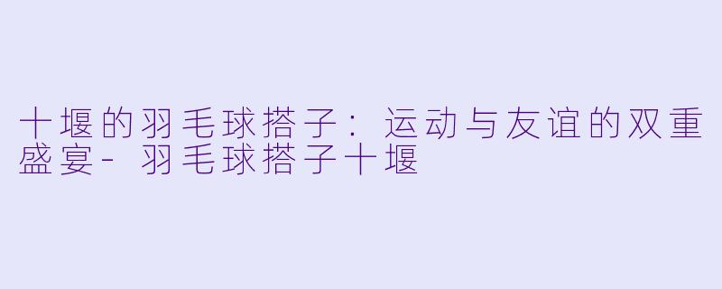 十堰的羽毛球搭子：运动与友谊的双重盛宴-羽毛球搭子十堰