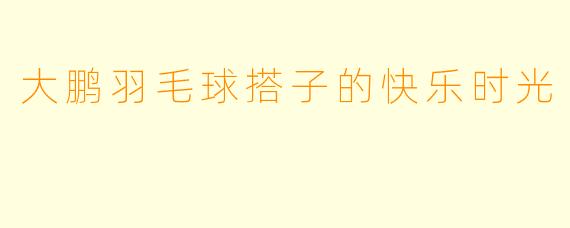 大鹏羽毛球搭子的快乐时光