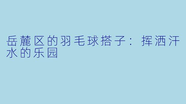 岳麓区的羽毛球搭子:挥洒汗水的乐园