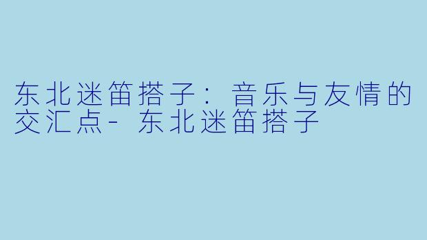 东北迷笛搭子：音乐与友情的交汇点-东北迷笛搭子
