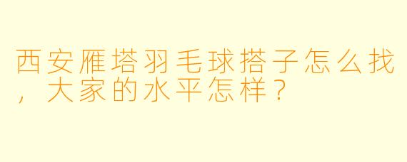 西安雁塔羽毛球搭子怎么找，大家的水平怎样？
