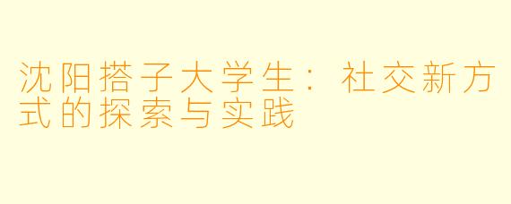 沈阳搭子大学生：社交新方式的探索与实践