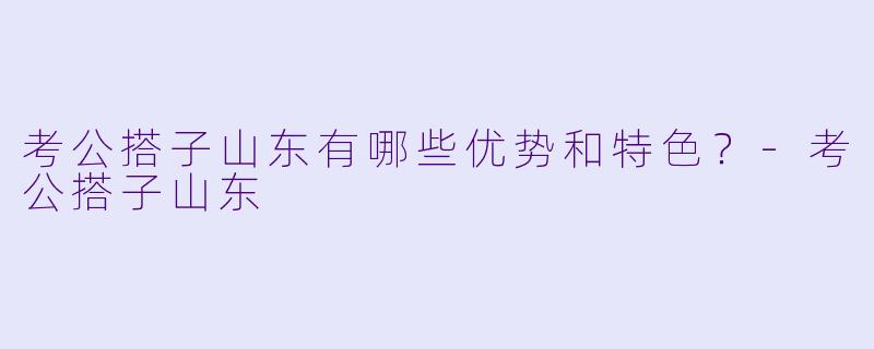 考公搭子山东有哪些优势和特色?