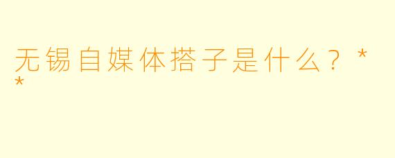 无锡自媒体搭子是什么？**