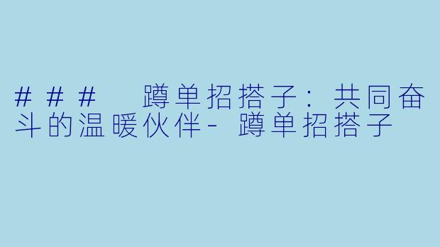 ### 蹲单招搭子：共同奋斗的温暖伙伴-蹲单招搭子