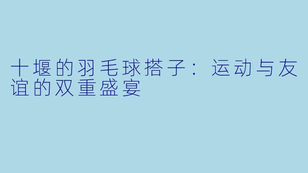 十堰的羽毛球搭子：运动与友谊的双重盛宴
