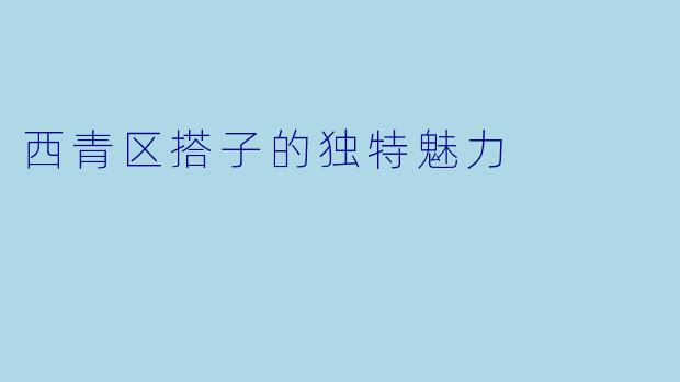 西青区搭子的独特魅力