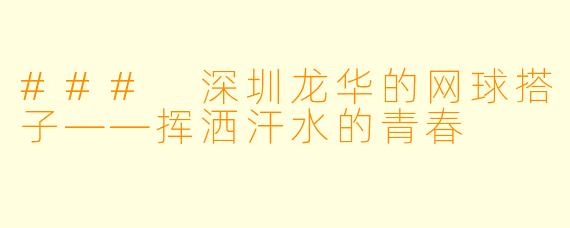 ### 深圳龙华的网球搭子——挥洒汗水的青春