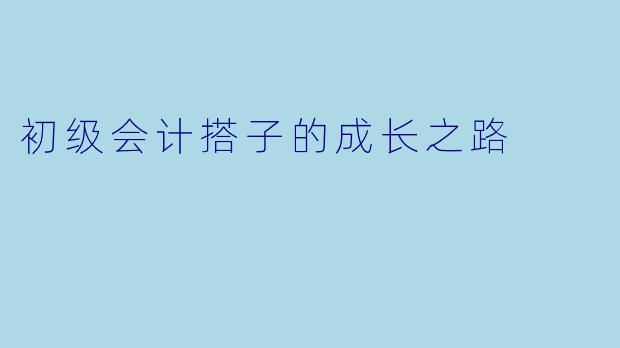 初级会计搭子的成长之路