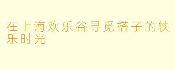 在上海欢乐谷寻觅搭子的快乐时光