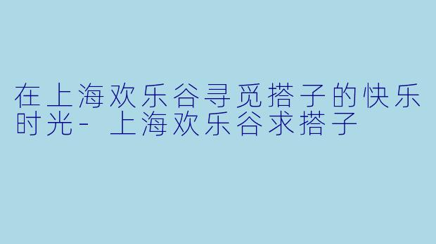 在上海欢乐谷寻觅搭子的快乐时光-上海欢乐谷求搭子