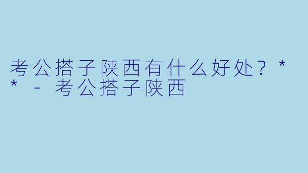 考公搭子陕西有什么好处？**