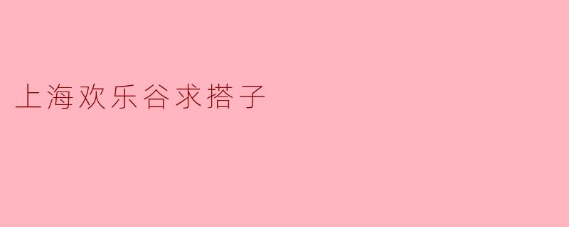 上海欢乐谷求搭子