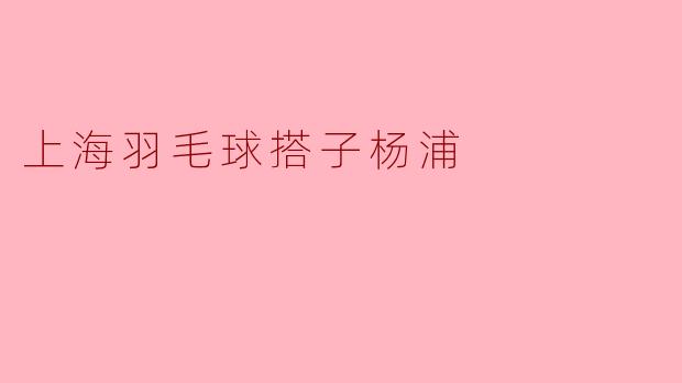 上海羽毛球搭子杨浦