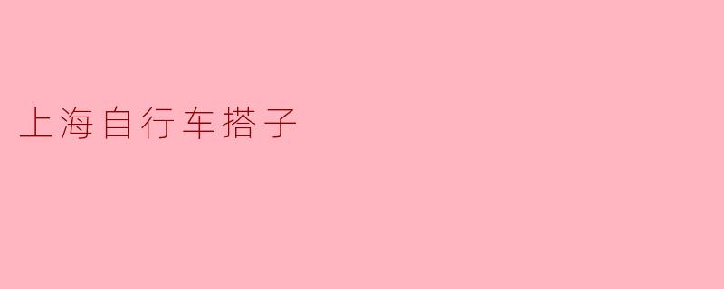 上海自行车搭子