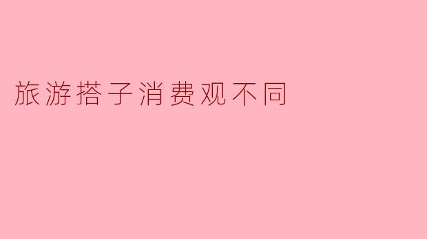 旅游搭子消费观不同