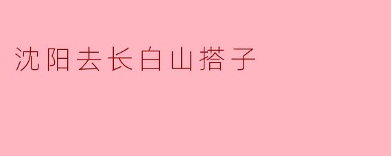 沈阳去长白山搭子