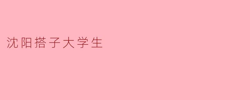 沈阳搭子大学生
