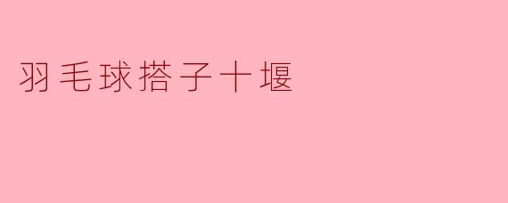 十堰的羽毛球搭子:运动与友谊的双重盛宴
