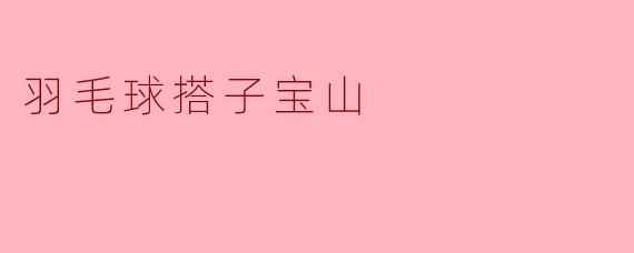 羽毛球搭子宝山