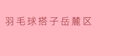 羽毛球搭子岳麓区