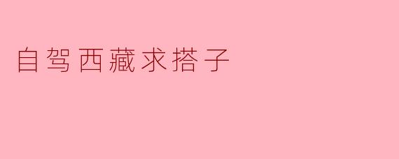 自驾西藏求搭子