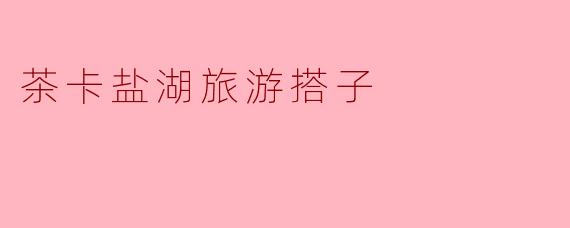 茶卡盐湖有哪些值得推荐的旅游活动?****
