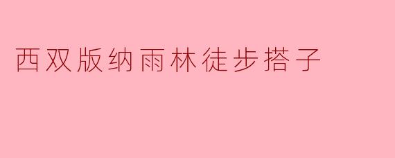 西双版纳雨林徒步搭子