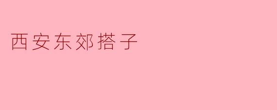 ### 西安东郊搭子的文化与魅力