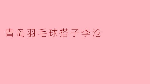 青岛羽毛球搭子李沧