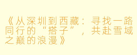 《从深圳到西藏：寻找一路同行的“搭子”，共赴雪域之巅的浪漫》
