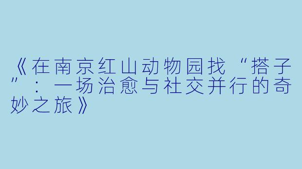 《在南京红山动物园找“搭子”:一场治愈与社交并行的奇妙之旅》