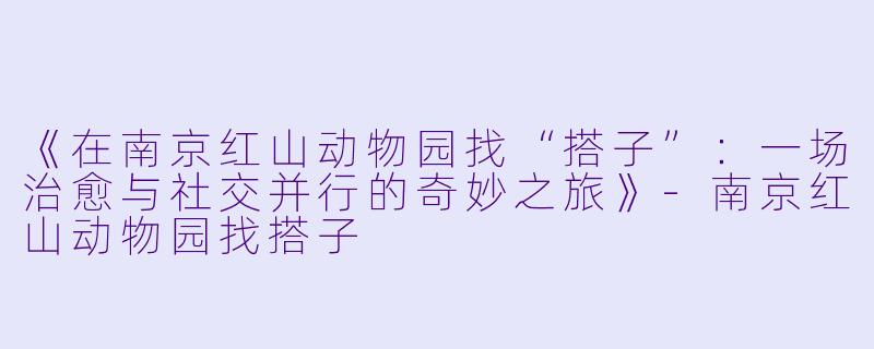 《在南京红山动物园找“搭子”：一场治愈与社交并行的奇妙之旅》-南京红山动物园找搭子