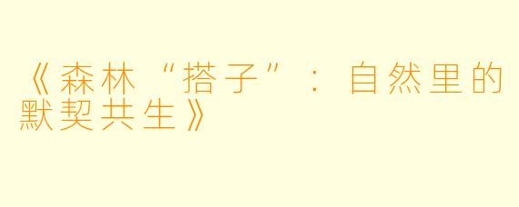 《森林“搭子”：自然里的默契共生》