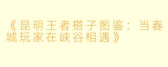 《昆明王者搭子图鉴：当春城玩家在峡谷相遇》