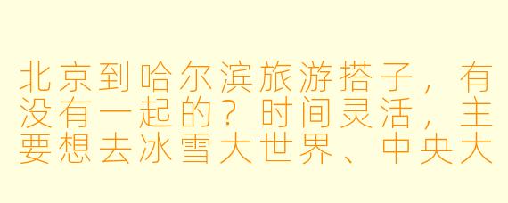 北京到哈尔滨旅游搭子,有没有一起的?时间灵活,主要想去冰雪大世界、中央大街,可以一起拼车拼饭~
