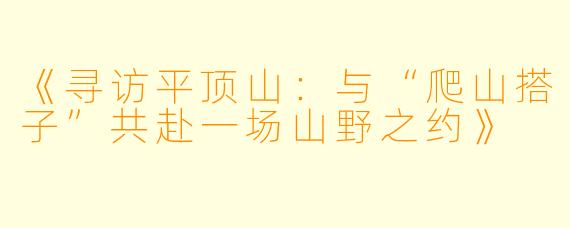 《寻访平顶山：与“爬山搭子”共赴一场山野之约》