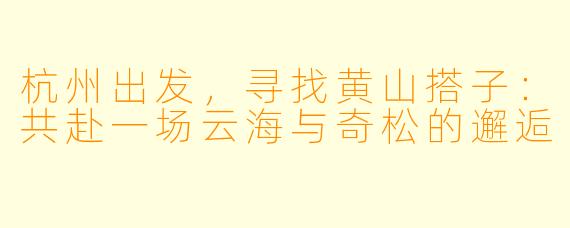 杭州出发，寻找黄山搭子：共赴一场云海与奇松的邂逅