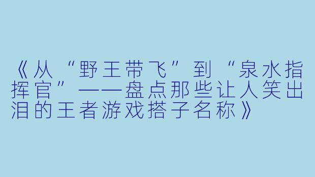 《从“野王带飞”到“泉水指挥官”——盘点那些让人笑出泪的王者游戏搭子名称》