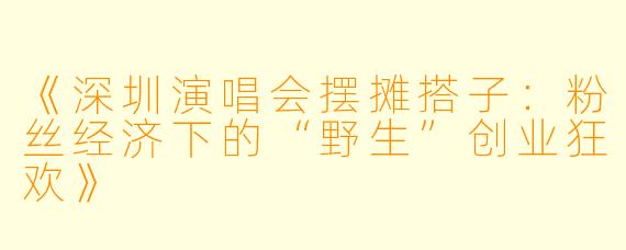 《深圳演唱会摆摊搭子：粉丝经济下的“野生”创业狂欢》