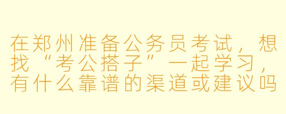在郑州准备公务员考试，想找“考公搭子”一起学习，有什么靠谱的渠道或建议吗？