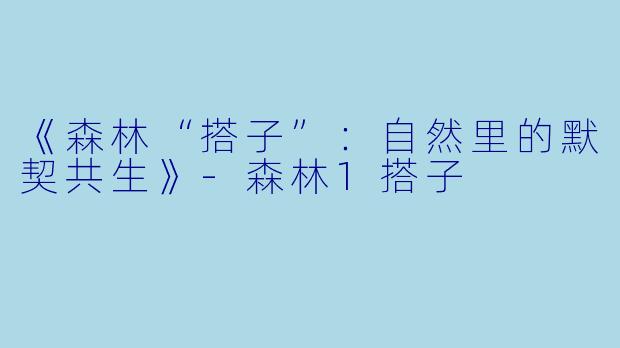 《森林“搭子”：自然里的默契共生》-森林1搭子